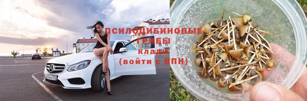 гидропоника Бородино